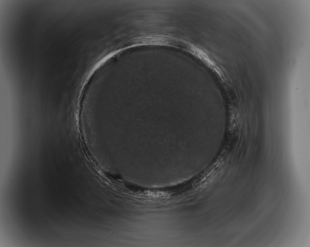 X0000097801312200803201349