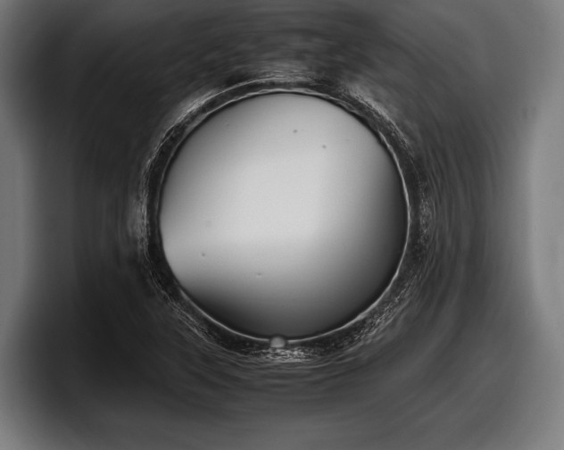 X0000097801315200803201349