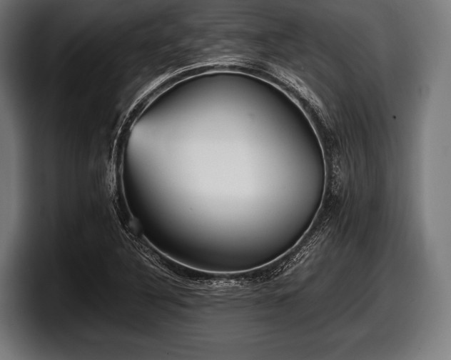 X0000097801316200803201349