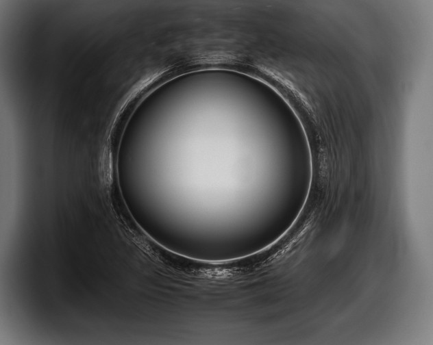 X0000097801317200803201349