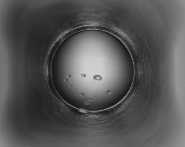 X0000097801318200803201349