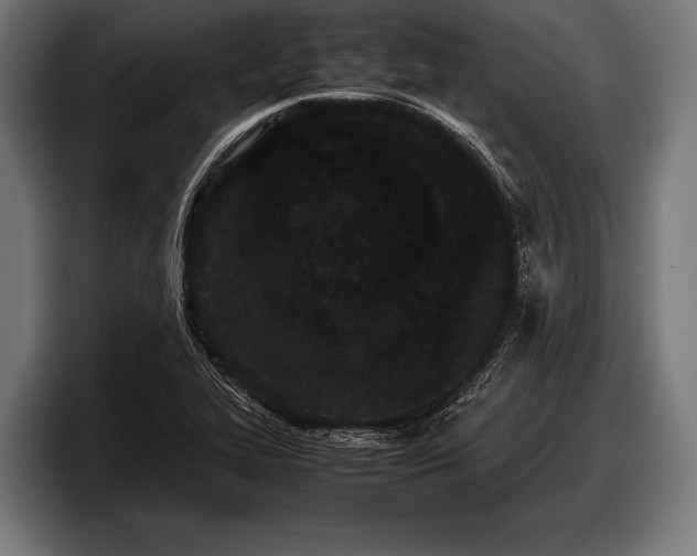 X0000097801319200803201349