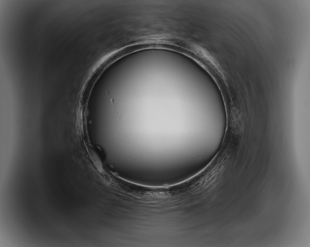 X0000097801320200803201349