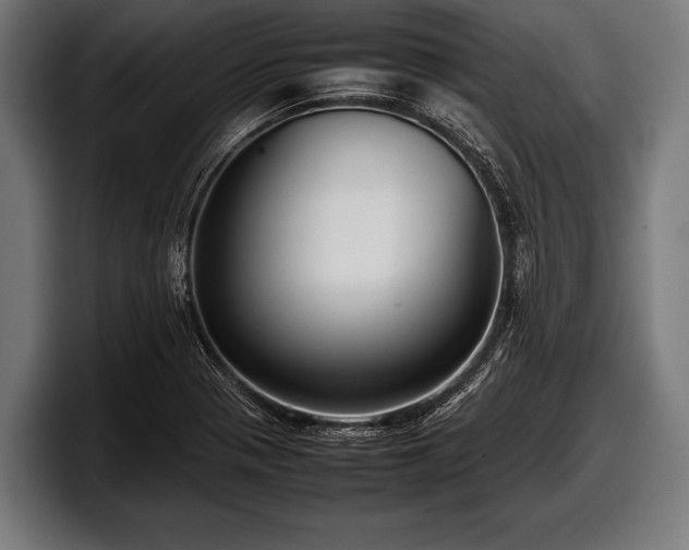 X0000097801321200803201349