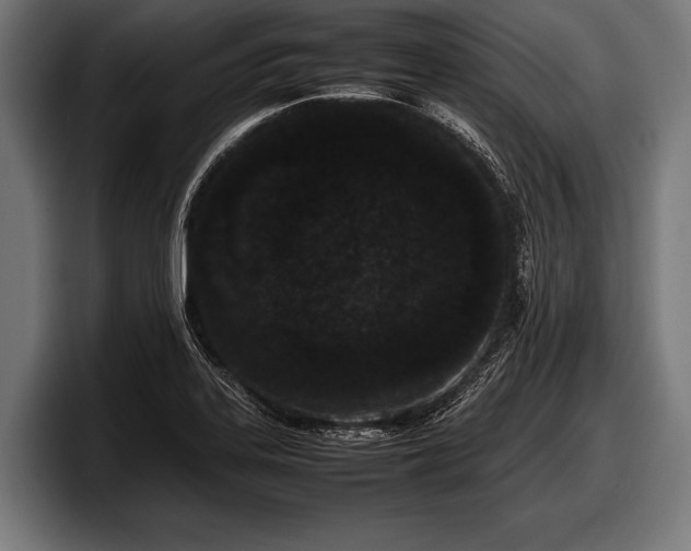 X0000097801323200803201349