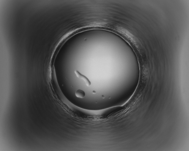 X0000097801324200803201349