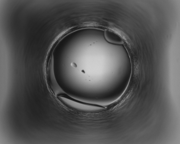 X0000097801325200803201349