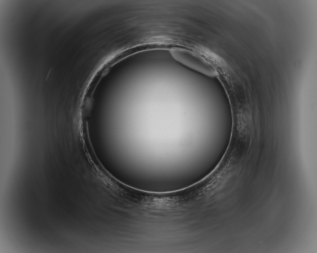 X0000097801326200803201349