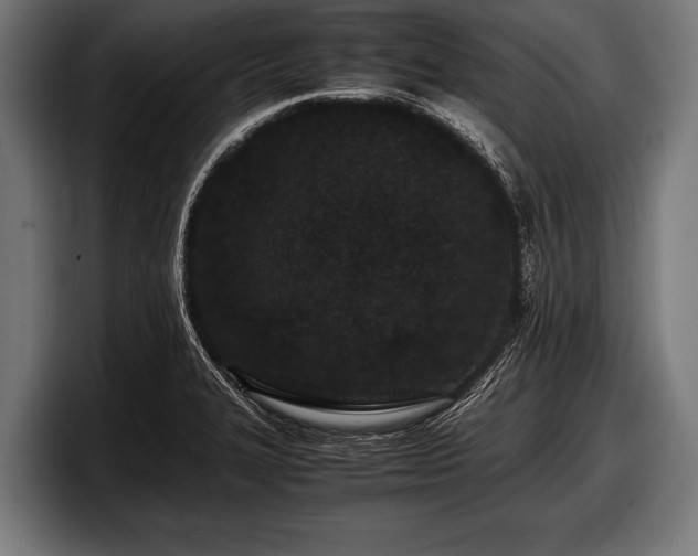 X0000097801327200803201349