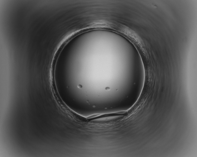 X0000097801328200803201349