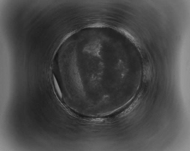 X0000097801329200803201349