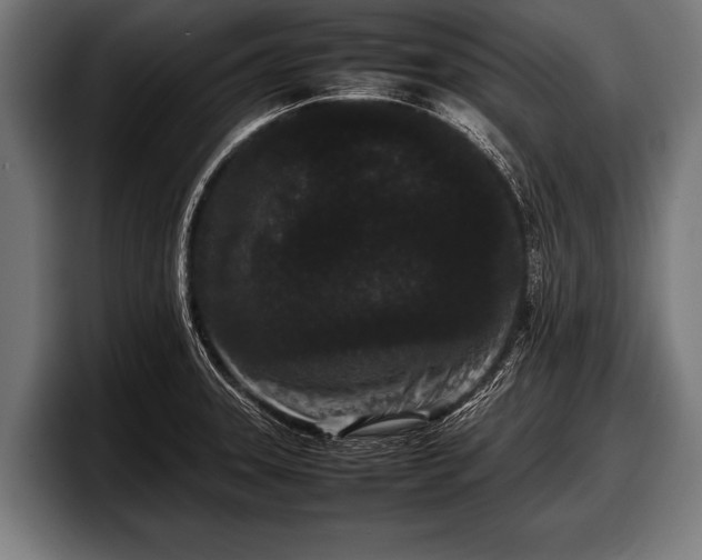 X0000097801331200803201349