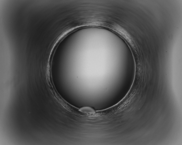 X0000097801332200803201349