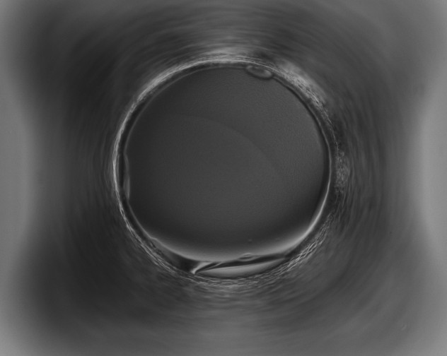 X0000097801334200803201349