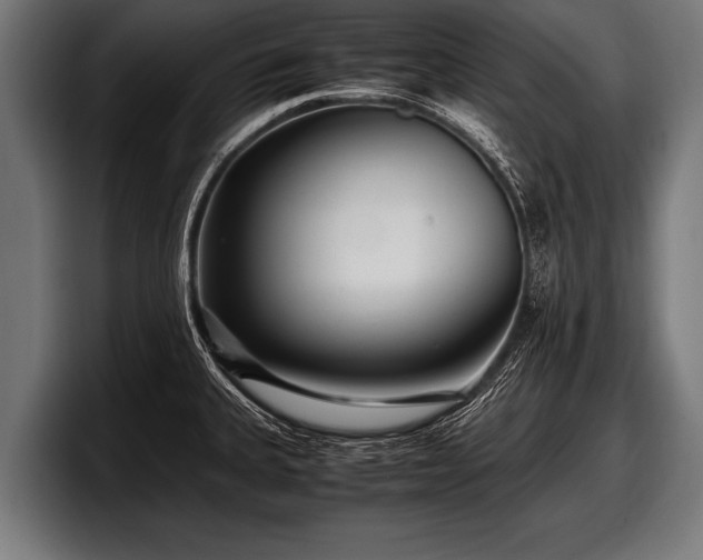 X0000097801335200803201349