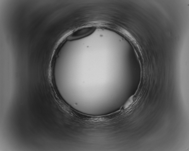 X0000097801336200803201349