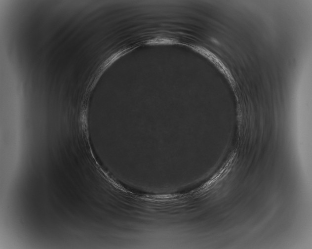 X0000097801337200803201349