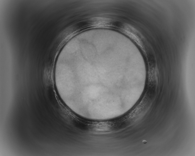 X0000097801338200803201349