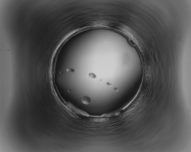 X0000097801339200803201349