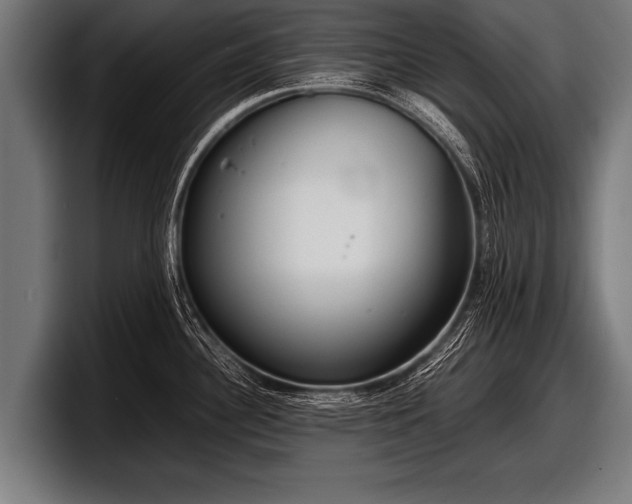 X0000097801340200803201349