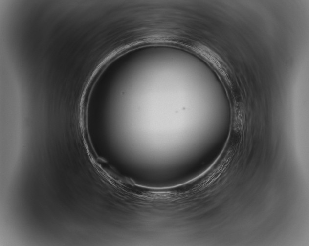 X0000097801342200803201349