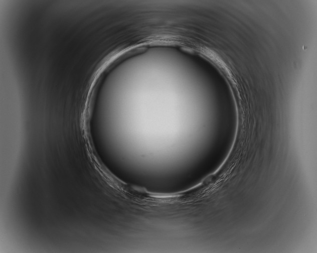 X0000097801344200803201349