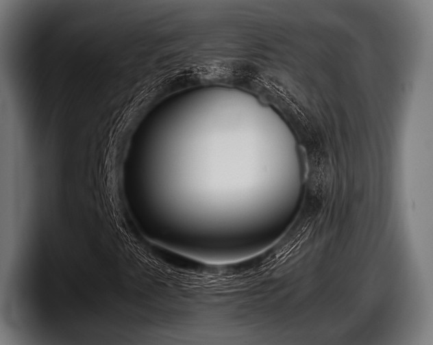 X0000097801345200803201349