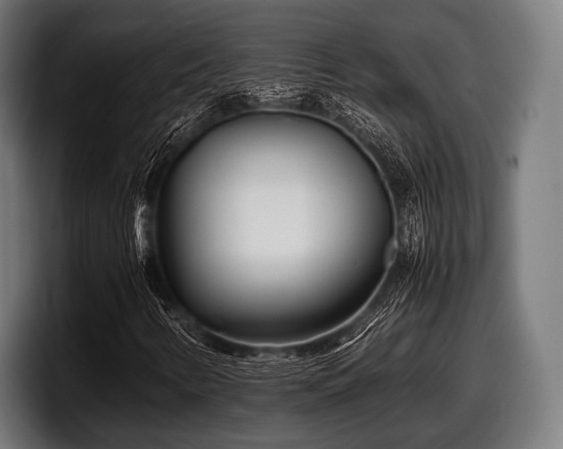 X0000097801346200803201349