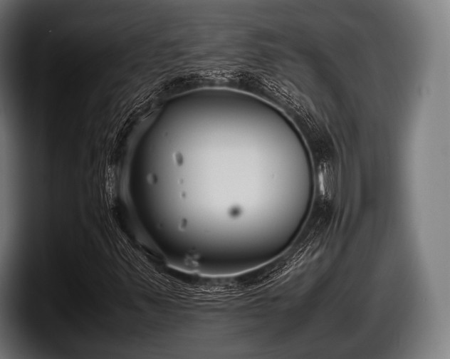 X0000097801347200803201349