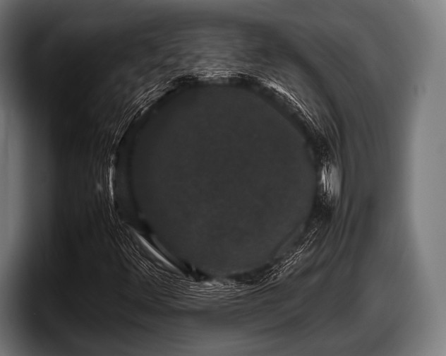 X0000097801348200803201349