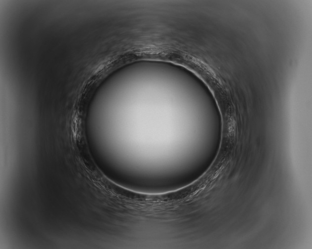 X0000097801350200803201349