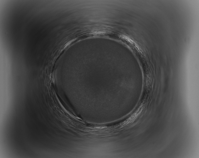 X0000097801353200803201349