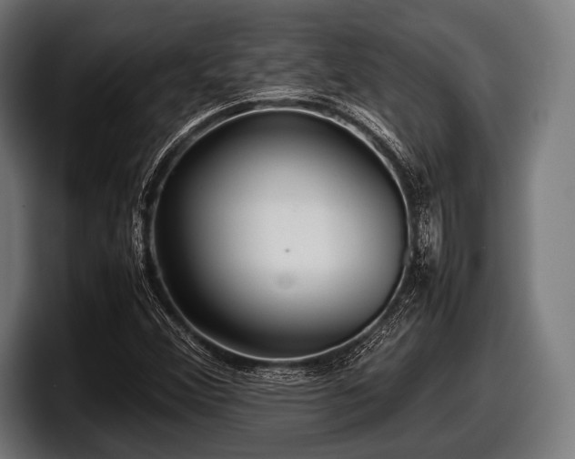 X0000097801356200803201348