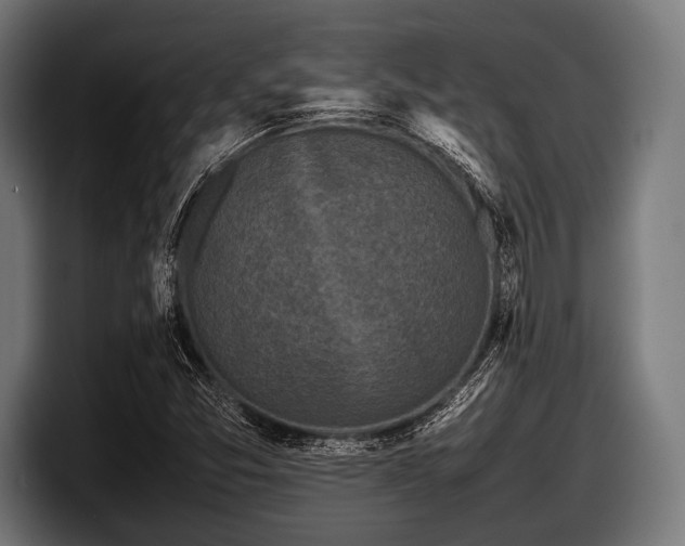 X0000097801357200803201348