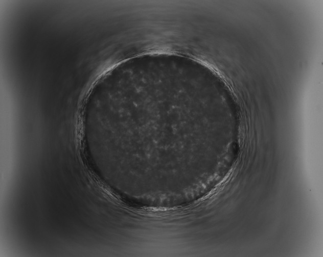 X0000097801359200803201348