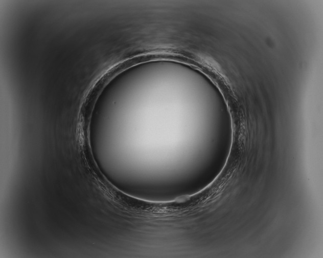 X0000097801360200803201348