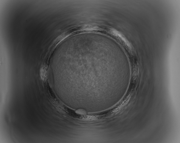 X0000097801361200803201348