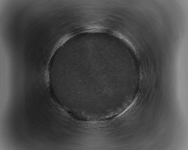 X0000097801362200803201348