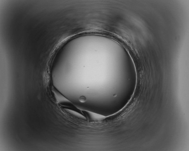 X0000097801363200803201348