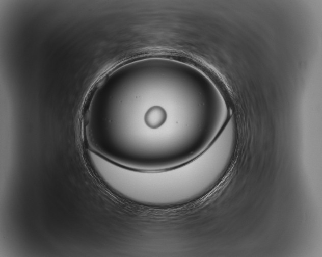 X0000097801365200803201348