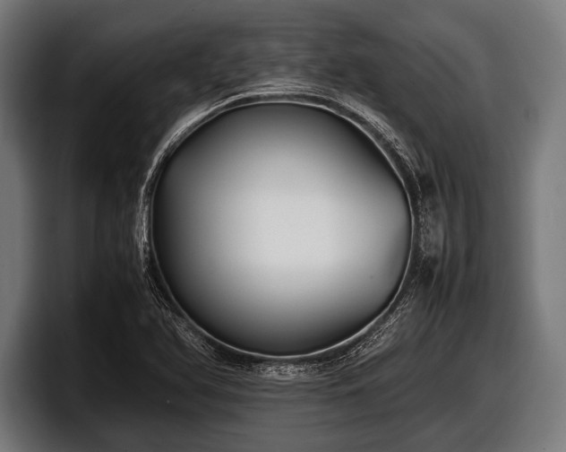 X0000097801366200803201348