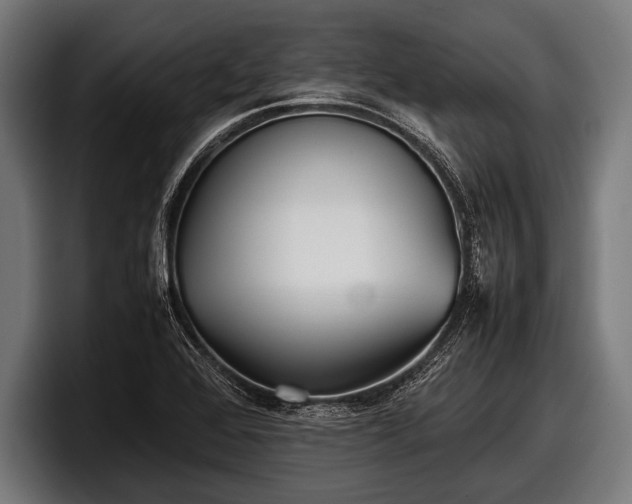 X0000097801368200803201348