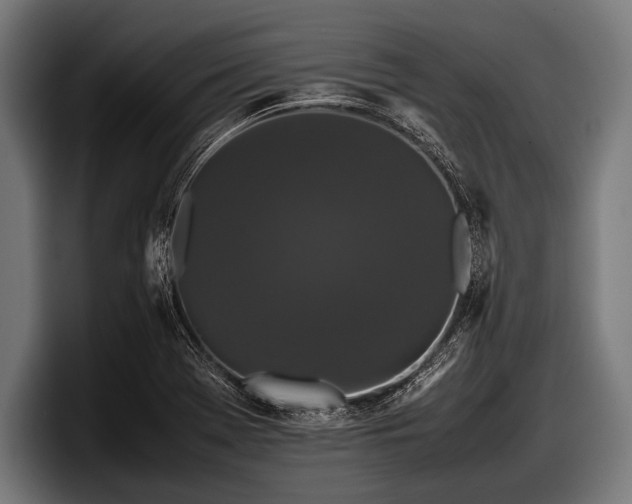 X0000097801369200803201348