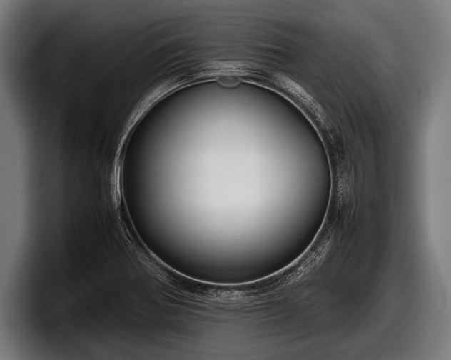 X0000097801370200803201348