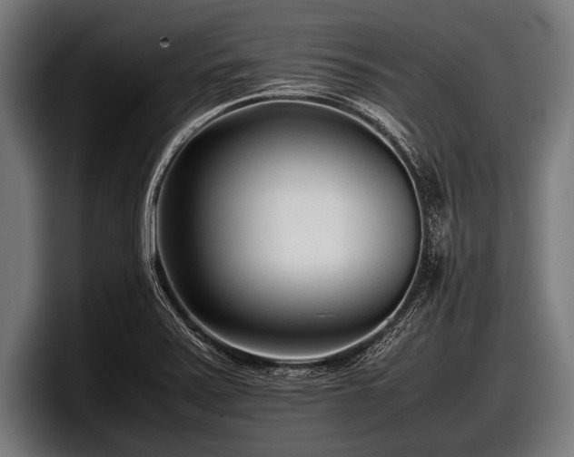 X0000097801371200803201348