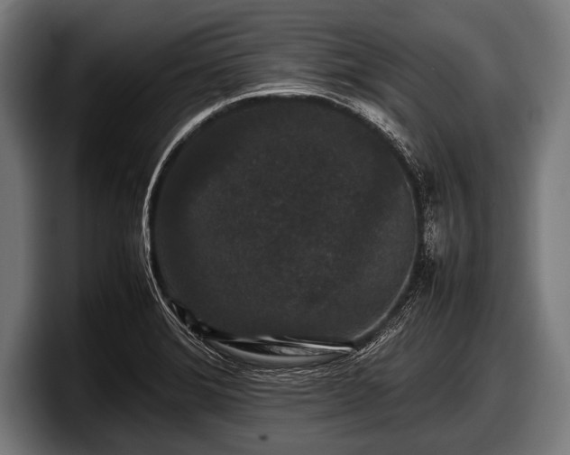 X0000097801372200803201348