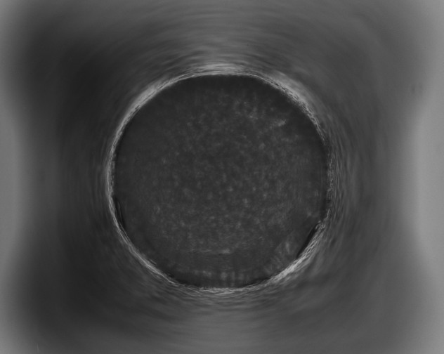 X0000097801373200803201348