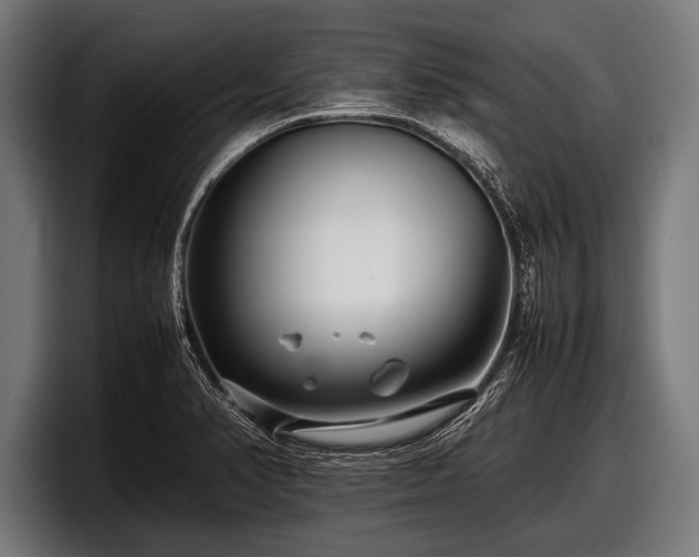 X0000097801374200803201348