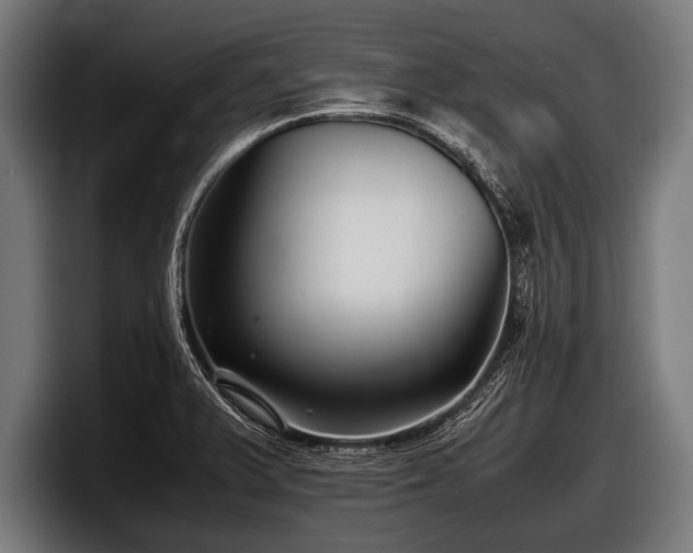 X0000097801375200803201348