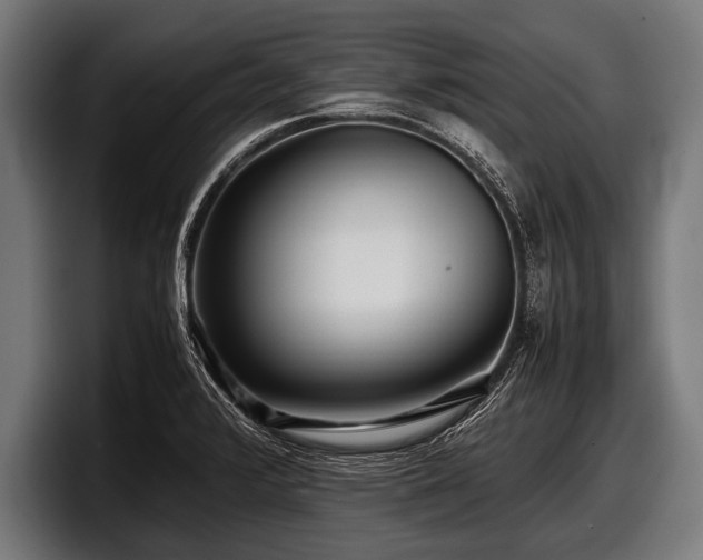 X0000097801376200803201348